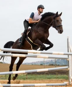 Horze Men's Grand Prix Full Seat Breeches, Silicone Grip, 36261 -Outlet Horze Store 1536145 A3