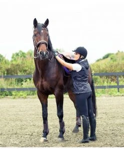 Horze Women's Grand Prix Knee Patch Breeches, Silicone Patches -Outlet Horze Store 1536557 A3