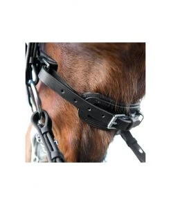 Outlet Horze Store -Outlet Horze Store 1550384 A1