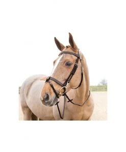 New! Horze Sparta Hunter Bridle, 10014 -Outlet Horze Store 1550403 A5
