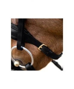 New! Horze Lester Snaffle Bridle, 10019 11 New! Horze Lester Snaffle Bridle, 10019 -Outlet Horze Store 1550419 A2