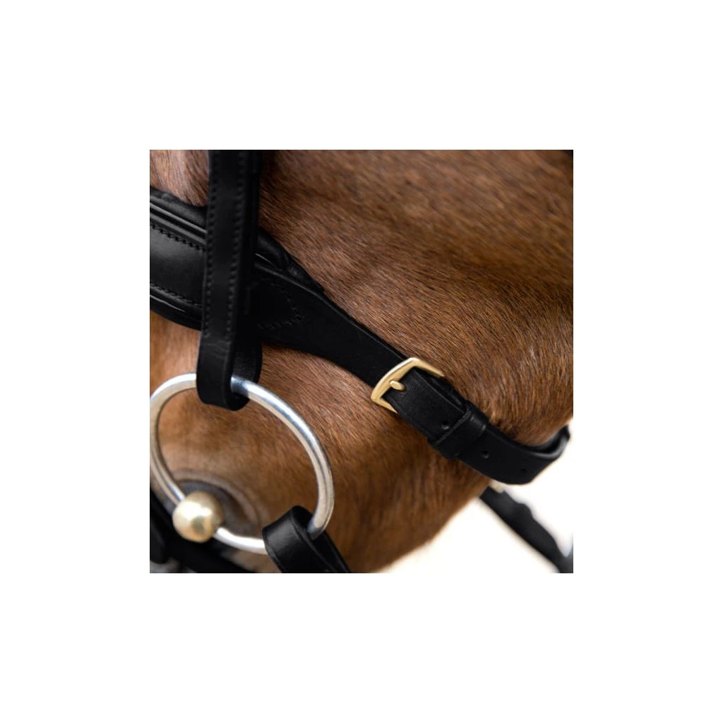 New! Horze Lester Snaffle Bridle, 10019 5 New! Horze Lester Snaffle Bridle, 10019 - Image 3