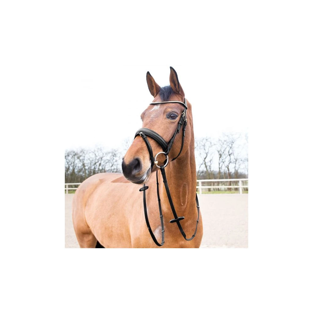 New! Horze Lester Snaffle Bridle, 10019 8 New! Horze Lester Snaffle Bridle, 10019 - Image 6