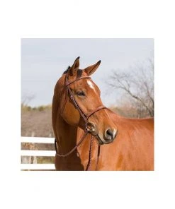 New! Horze Champion Snaffle Show Bridle, 10028