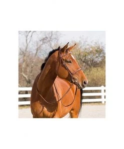New! Horze Champion Snaffle Show Bridle, 10028 -Outlet Horze Store 1550433 A3
