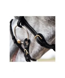 New! Horze Constance Padded Flash Snaffle Bridle, 10040 11 New! Horze Constance Padded Flash Snaffle Bridle, 10040 -Outlet Horze Store 1550437 A1