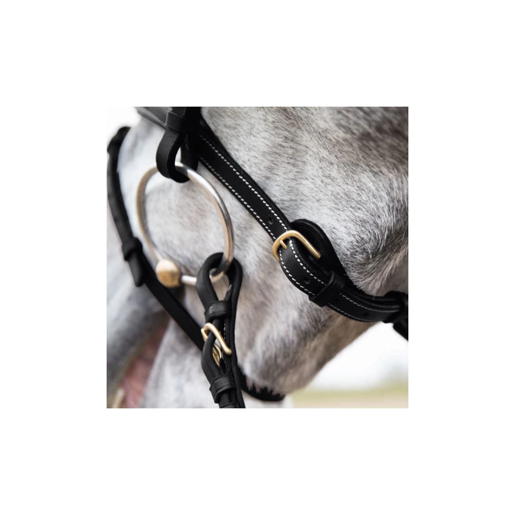 New! Horze Constance Padded Flash Snaffle Bridle, 10040 4 New! Horze Constance Padded Flash Snaffle Bridle, 10040 - Image 2