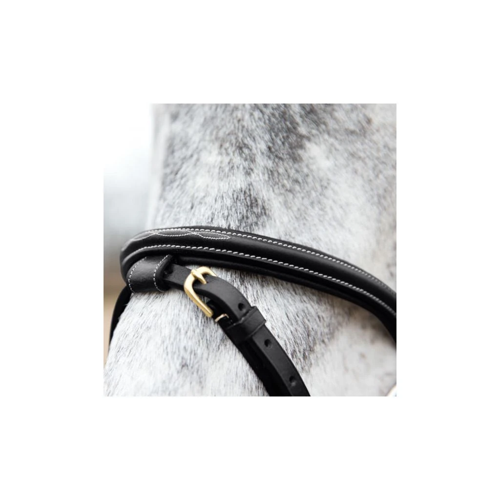 New! Horze Constance Padded Flash Snaffle Bridle, 10040 5 New! Horze Constance Padded Flash Snaffle Bridle, 10040 - Image 3