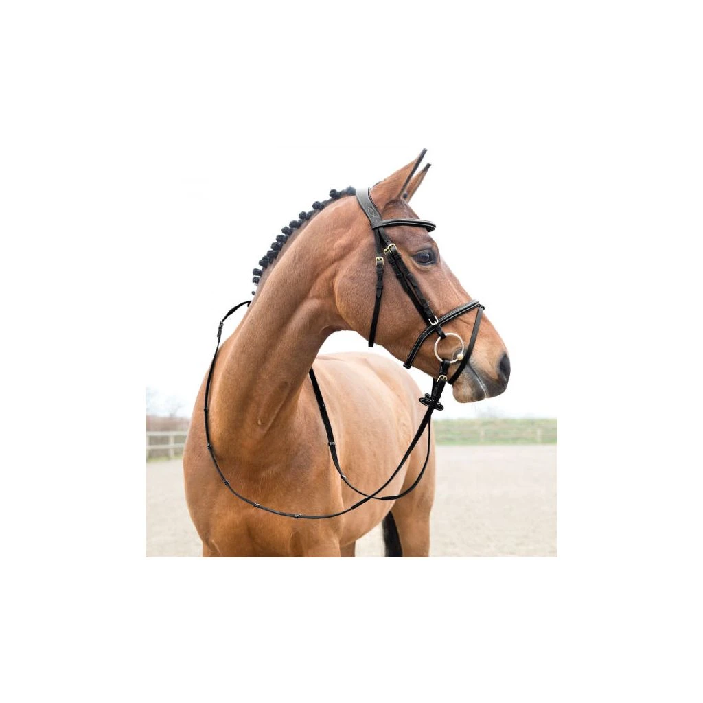 New! Horze Constance Padded Flash Snaffle Bridle, 10040 7 New! Horze Constance Padded Flash Snaffle Bridle, 10040 - Image 5