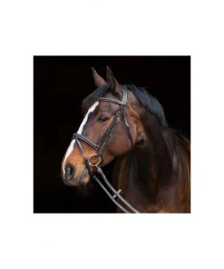 New! Horze Constance Padded Flash Snaffle Bridle, 10040 15 New! Horze Constance Padded Flash Snaffle Bridle, 10040 -Outlet Horze Store 1550437 A5