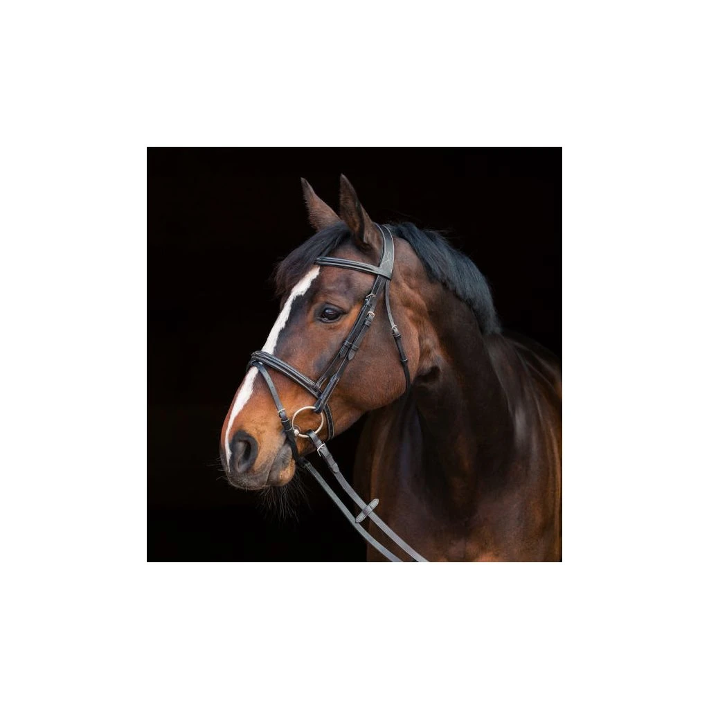 New! Horze Constance Padded Flash Snaffle Bridle, 10040 8 New! Horze Constance Padded Flash Snaffle Bridle, 10040 - Image 6