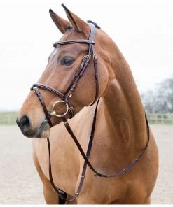 New! Horze Constance Padded Flash Snaffle Bridle, 10040 17 New! Horze Constance Padded Flash Snaffle Bridle, 10040 -Outlet Horze Store 1550441