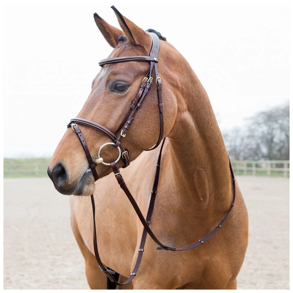 New! Horze Constance Padded Flash Snaffle Bridle, 10040 10 New! Horze Constance Padded Flash Snaffle Bridle, 10040 - Image 8