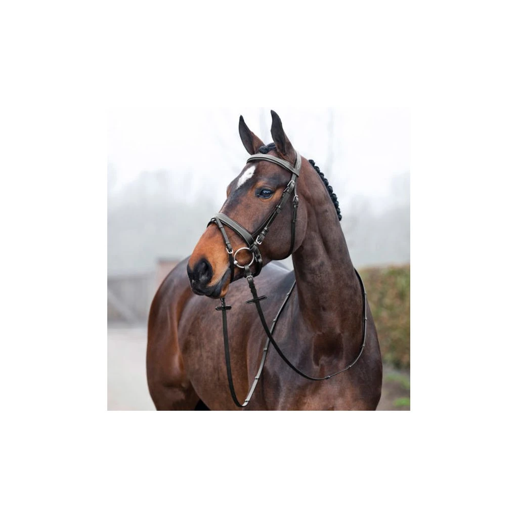 New! Horze Venice Snaffle Bridle, 10045 5 New! Horze Venice Snaffle Bridle, 10045 - Image 3