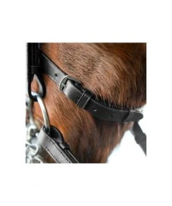New! Horze Vienna Weymouth Dressage Bridle, 10053 -Outlet Horze Store 1550450 A4