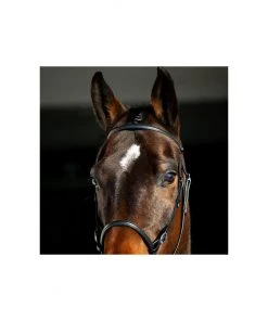 New! Horze Leather Bitless Bridle, 10081 -Outlet Horze Store 1550463 A4
