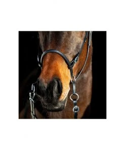 New! Horze Leather Bitless Bridle, 10081 -Outlet Horze Store 1550463 A5