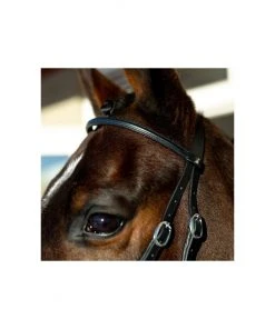 New! Horze Leather Bitless Bridle, 10081 -Outlet Horze Store 1550463 A6