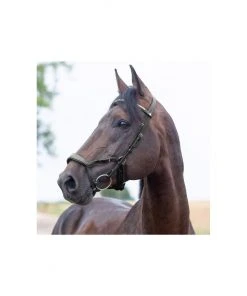 New! Horze Stewart Bridle, 10082 -Outlet Horze Store 1550467 A2
