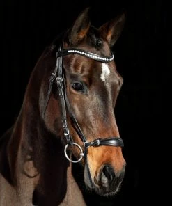 New! Horze Bergen Leather Remont Bridle, 10109