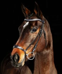 New! Horze Bergen Leather Remont Bridle, 10109 -Outlet Horze Store 1550491