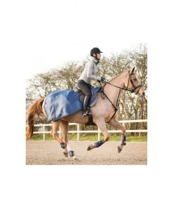 New! Horze Venice Combined Running Martingale/Breastplate, Leather, 10858 -Outlet Horze Store 1550563 A2