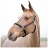 Horze Largo Halter, Black, 22136