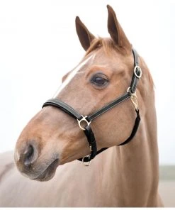 Horze Largo Halter, Black, 22136