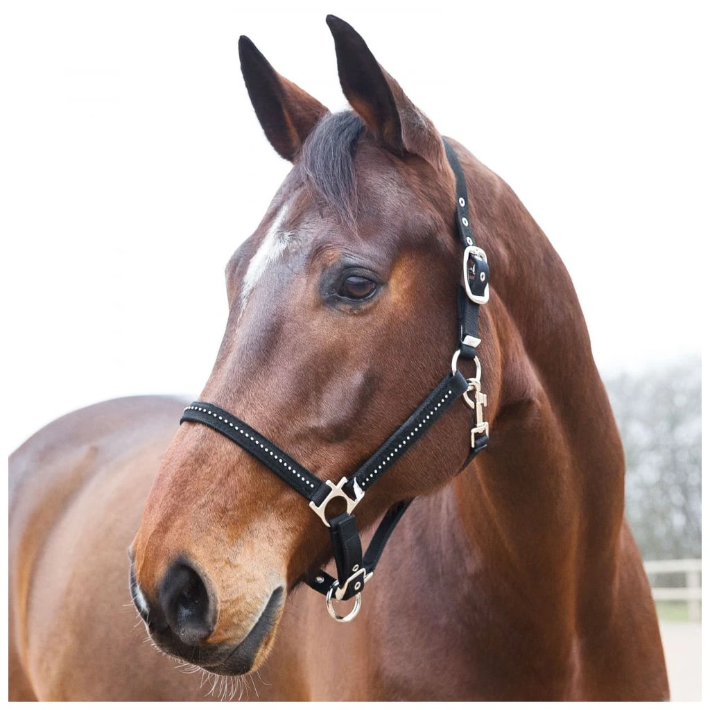 New! Horze Diamond Halter, 22175 3 New! Horze Diamond Halter, 22175