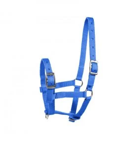 New! Horze Foal Halter, 22182