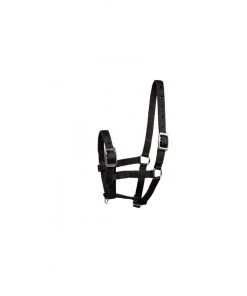 New! Horze Foal Halter, 22182 -Outlet Horze Store 1551254