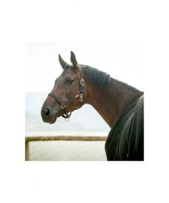 New! Horze Cooper Halter - Lead Rope, 22219 -Outlet Horze Store 1551267 A1