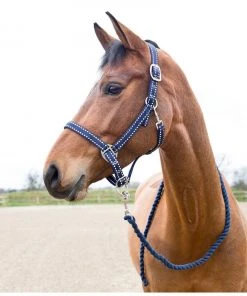 New! Horze Cooper Halter - Lead Rope, 22219 -Outlet Horze Store 1551271