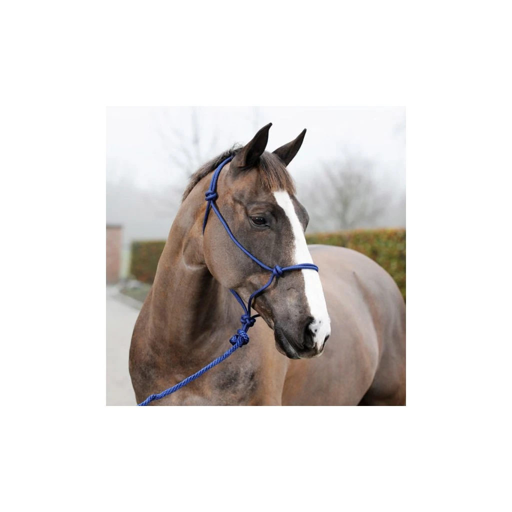 New! Horze Knotted Horse Rope Halter, Lead, 22224 4 New! Horze Knotted Horse Rope Halter, Lead, 22224 - Image 2