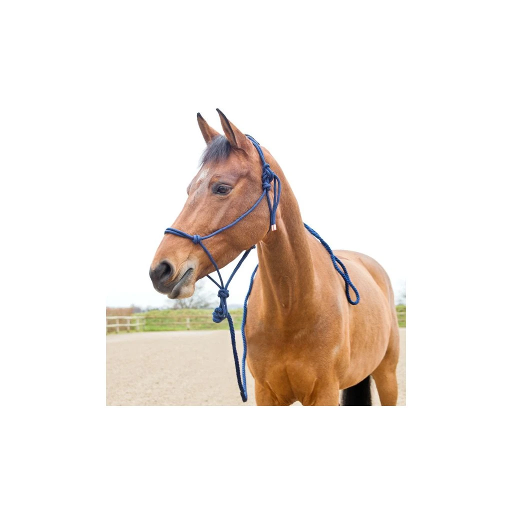 New! Horze Knotted Horse Rope Halter, Lead, 22224 5 New! Horze Knotted Horse Rope Halter, Lead, 22224 - Image 3