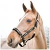 New! Horze Hamptons Halter, 22243 -Outlet Horze Store 1551290