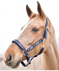 New! Horze Hamptons Halter, 22243 -Outlet Horze Store 1551294