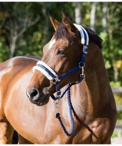 New! Horze Howard Halter, 22244 10 New! Horze Howard Halter, 22244 -Outlet Horze Store 1551310