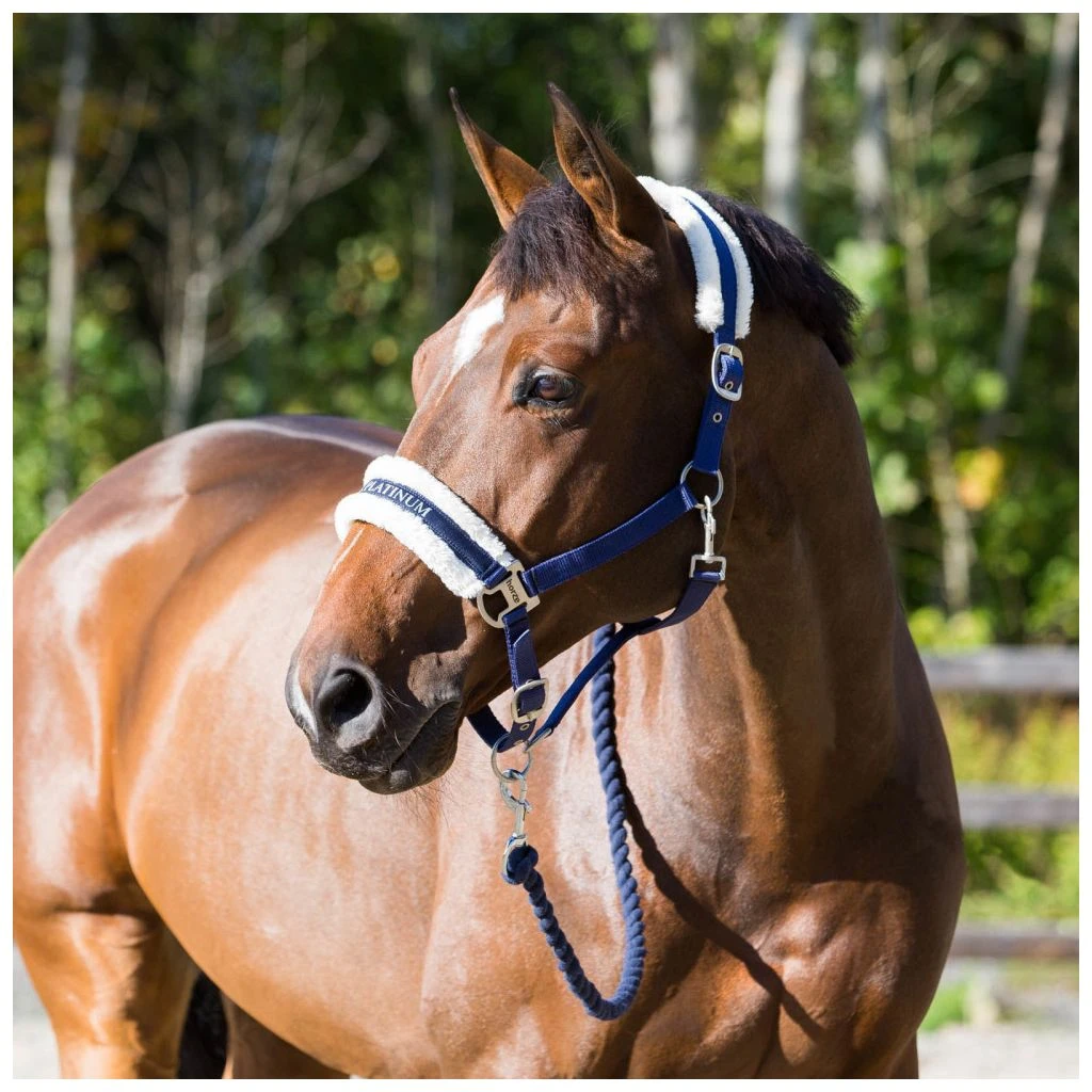 New! Horze Howard Halter, 22244 6 New! Horze Howard Halter, 22244 - Image 4