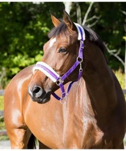 New! Horze Howard Halter, 22244 9 New! Horze Howard Halter, 22244 -Outlet Horze Store 1551314