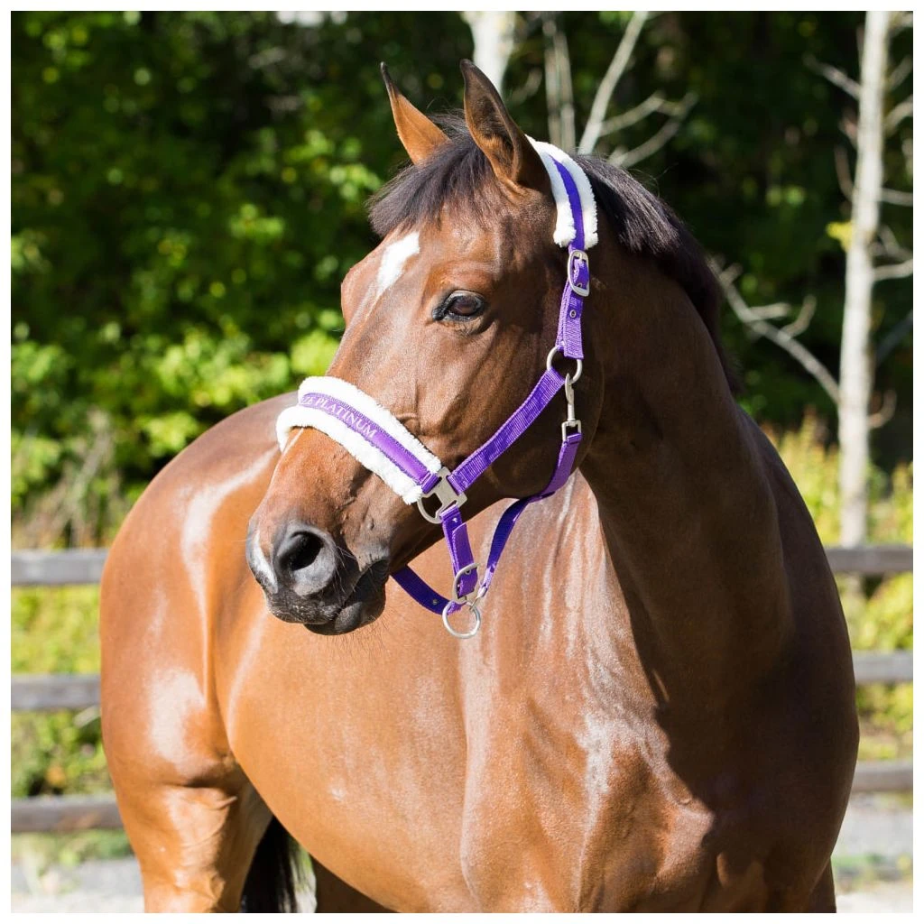 New! Horze Howard Halter, 22244 5 New! Horze Howard Halter, 22244 - Image 3