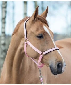 New! Horze Halter with Lining, 22261 -Outlet Horze Store 1551325