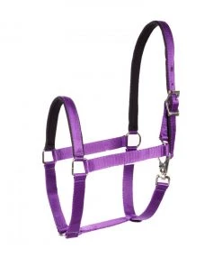 New! Horze Halter with Lining, 22261 -Outlet Horze Store 1551330