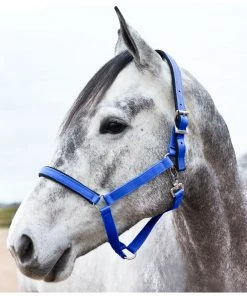 New! Horze Halter with Lining, 22261 -Outlet Horze Store 1551334