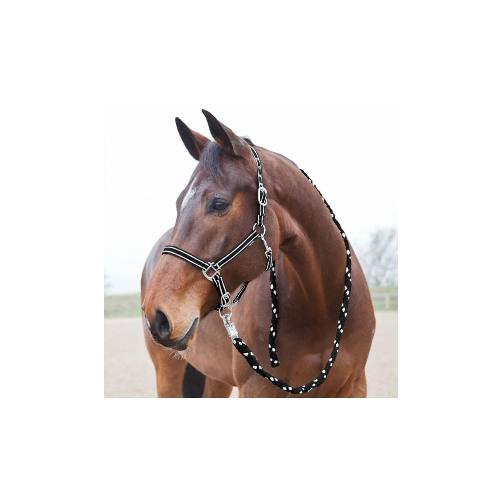 New! Horze Nice Lead Rope, 22666 4 New! Horze Nice Lead Rope, 22666 - Image 2