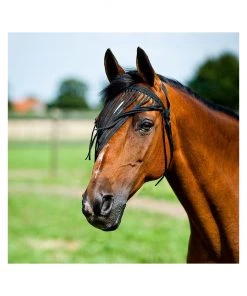 Horze Simple Fly Veil, 22837