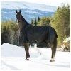 Horze Nevada 1200D Heavyweight Winter Turnout Blanket, 400g, 24571 -Outlet Horze Store 1551663