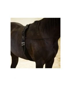 New! Horze Lunging Surcingle, Nylon, 24900 -Outlet Horze Store 1551824 A1
