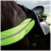 New! Horze Reflective Harness, 29012 -Outlet Horze Store 1551995