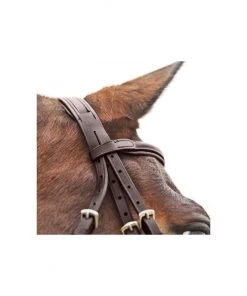 New! Horze Prescott Figure 8 Bridle, 10012 8 New! Horze Prescott Figure 8 Bridle, 10012 -Outlet Horze Store 1729049 A1
